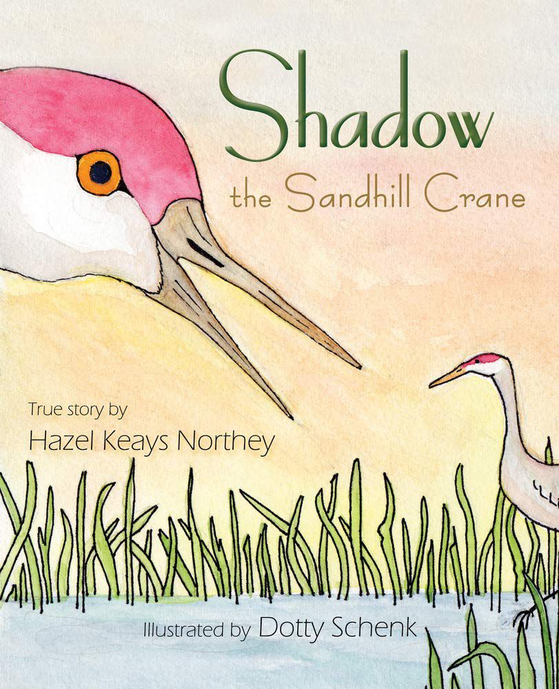 “Shadow the Sandhill Crane”